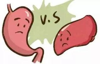 醉酒吐可以吃瓜吗,吃瓜解腻还是加重不适？揭秘真相