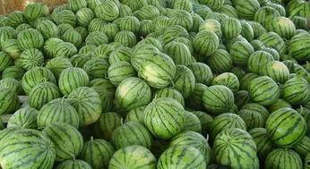 银座吃瓜,揭秘吃瓜群众的狂欢盛宴