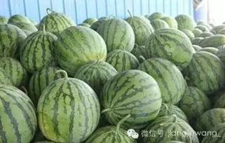 江津万达吃瓜,吃瓜群众见证的美食盛宴