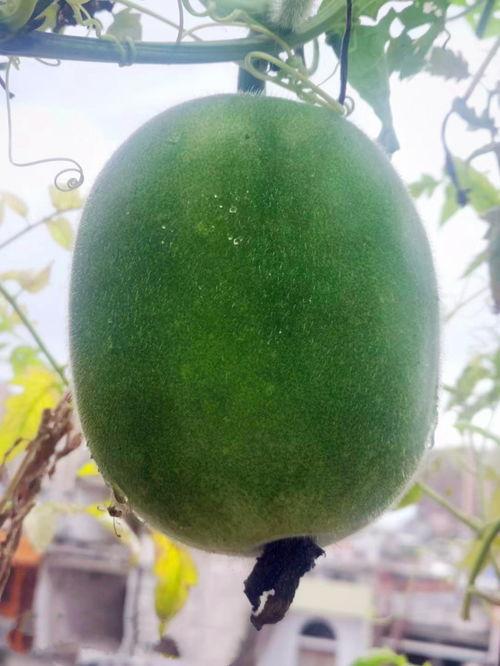 吃瓜社吃瓜来这就对了,真相大白，吃瓜来这就对了！