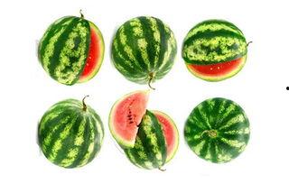 快乐恰谷吃瓜,畅享夏日吃瓜盛宴