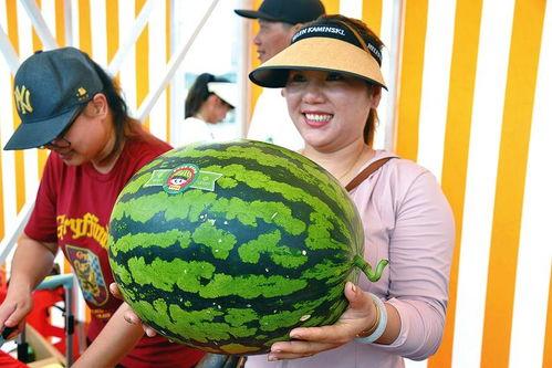 快乐恰谷吃瓜,畅享夏日吃瓜盛宴