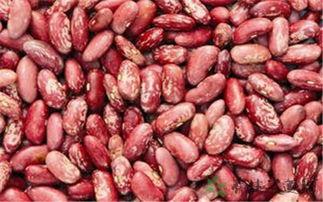 金乡花莹莹吃瓜,瓜界新宠，揭秘花莹莹的吃瓜日常