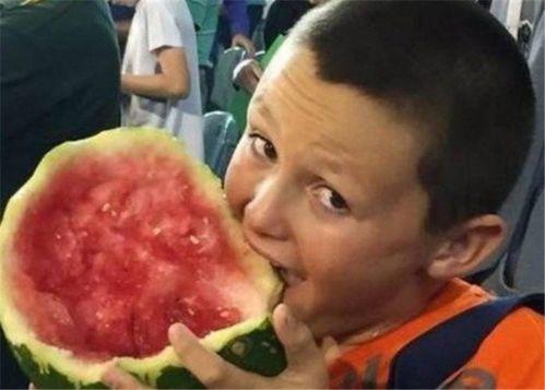 老外到新疆吃瓜,老外体验西域甜蜜之旅