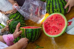 31个吃瓜视频,盘点娱乐圈那些让人捧腹大笑的幕后趣事