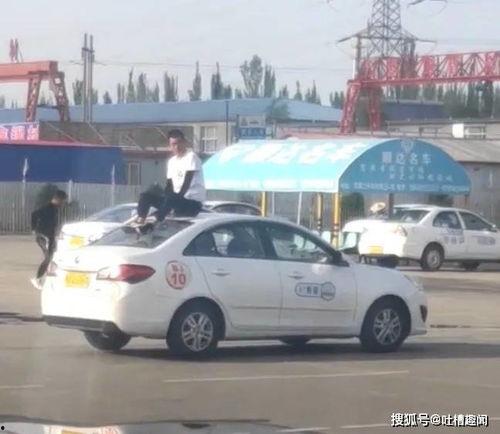 莱芜驾校吃瓜视频,莱芜驾校吃瓜视频引发热议