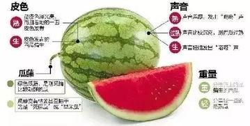 吃瓜群微信最近,揭秘娱乐圈最新热点事件