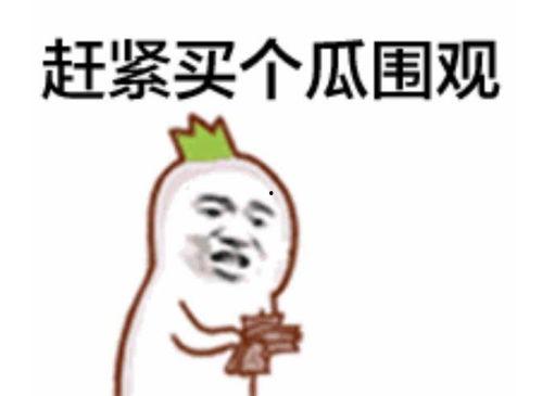 吃瓜路人表情大赏,揭秘网络热议背后的表情密码