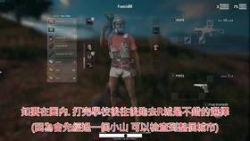 小楠瓜解说吃鸡游戏视频