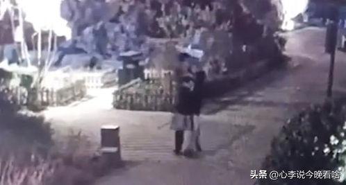 杭州吃瓜视频完整版,揭秘幕后真相，完整版事件全解析