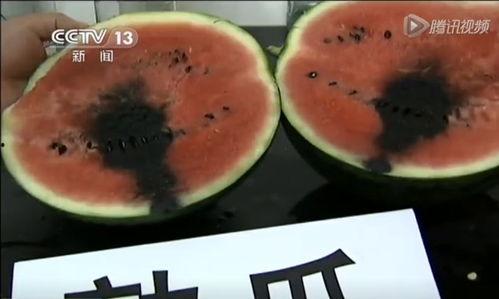 黄县吃瓜事件视频,一场引发热议的网络风波