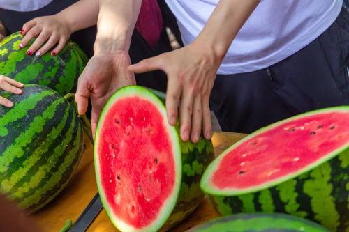 各大高校吃瓜视频链,校园生活趣味瞬间大揭秘