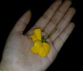 甜美吃瓜群众视频大全最新