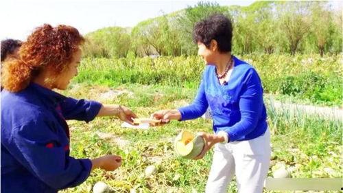 李奶奶吃哈密瓜视频