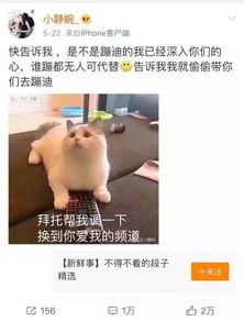 抖音最新吃瓜群众视频