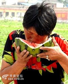 云南老太太吃瓜视频播放