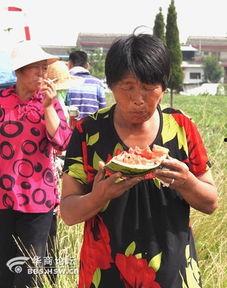 云南老太太吃瓜视频播放