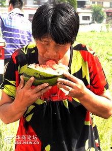 云南老太太吃瓜视频播放