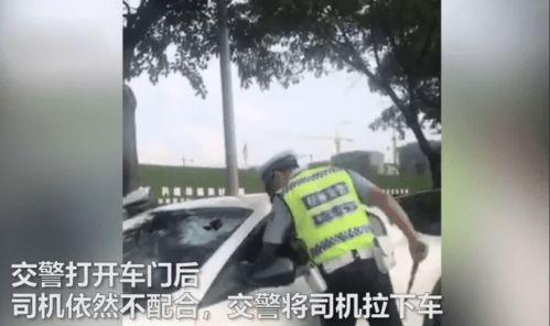 新乐吃瓜事件真相视频在线观看,揭秘真相，视频还原惊人内幕
