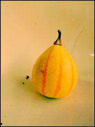 新沂新港吃瓜视频,揭秘当地生活百态