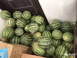 新沂新港吃瓜视频,揭秘当地生活百态