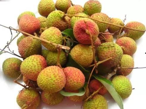 荔枝树吃瓜视频,一场别开生面的吃瓜盛宴