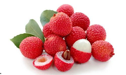 荔枝树吃瓜视频,一场别开生面的吃瓜盛宴