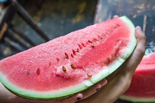 吃石头瓜的视频大全图片,揭秘吃石头瓜的神秘魅力