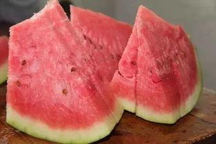 吃石头瓜的视频大全图片,揭秘吃石头瓜的神秘魅力