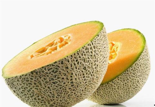 胃烧灼可以吃哈密瓜吗视频