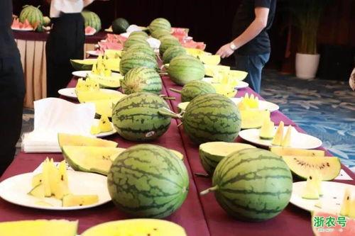 宁波奉化吃瓜事件视频最新,一场引发热议的街头冲突瞬间