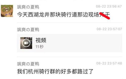 情侣吃瓜现场视频大全,视频大全揭秘甜蜜日常