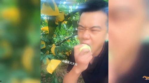 吃瓜带货搞笑视频女,带货女神的欢乐带货之旅