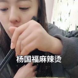 求抱抱吃瓜视频大全集,笑料百出，欢乐无限