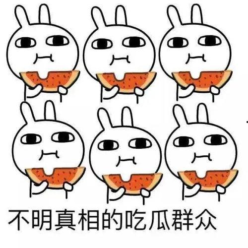 求抱抱吃瓜视频大全集,笑料百出，欢乐无限