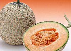 圣哥吃哈密瓜视频大全,视频大全带你领略甜蜜诱惑