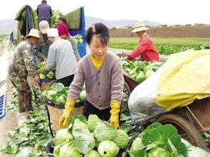 榆中定远吃瓜事件视频曝光,视频曝光揭示惊人真相