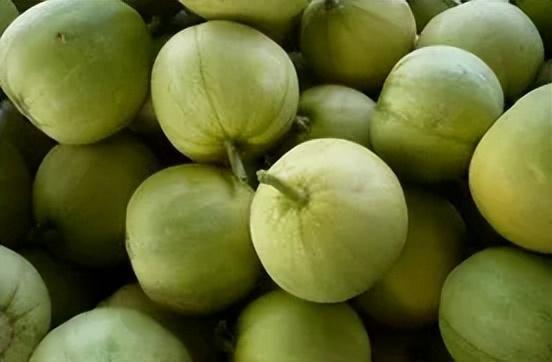 香瓜园吃瓜视频大全,甜蜜滋味，欢乐共享