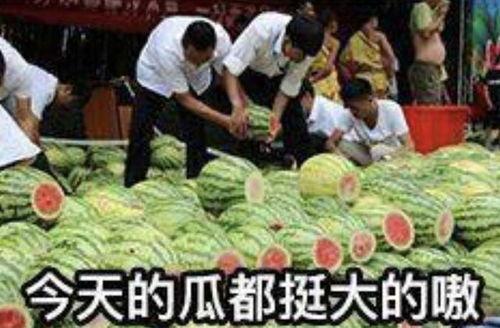 这几年的吃瓜事件视频,盘点近年网络热议瞬间