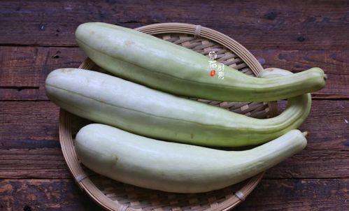 袍子瓜怎么吃最好吃视频,视频教你如何烹饪最佳口感