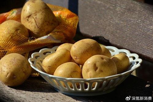 大瓜吃土豆视频大全播放