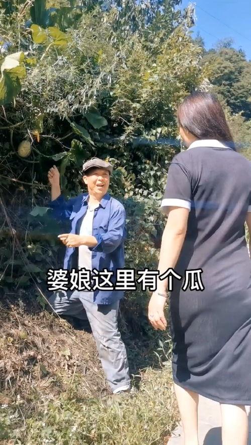 开心吃瓜搞笑视频合集,让你笑到肚子疼