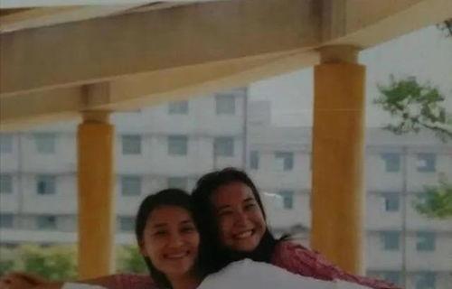 郑大姐吃瓜视频全集,揭秘娱乐圈幕后真相