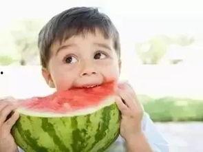 吃小瓜对肠胃不好吗视频