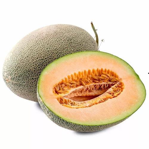 靓仔吃蜜瓜视频下载安装